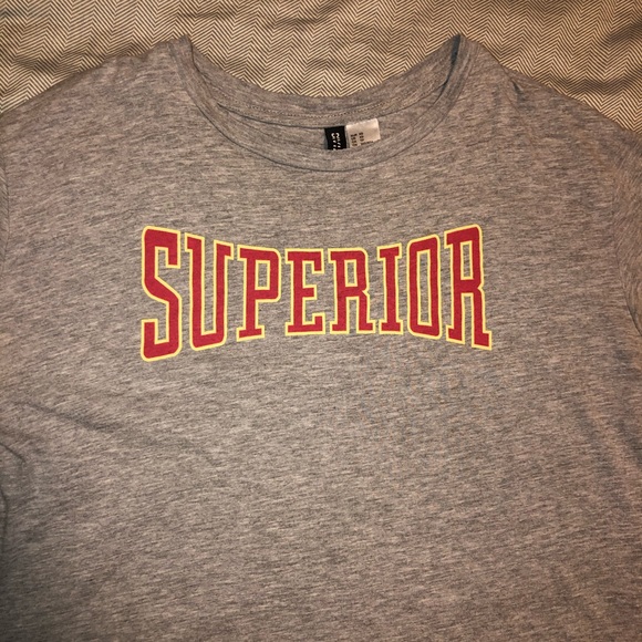 Gray Superior Tee - Picture 1 of 2